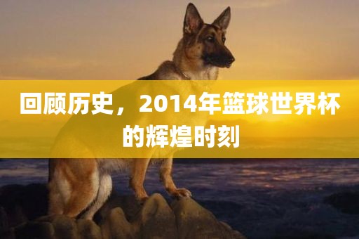 回顾历史，2014年篮球世界杯的漯河市盈旭机械设备有限公司辉煌时刻