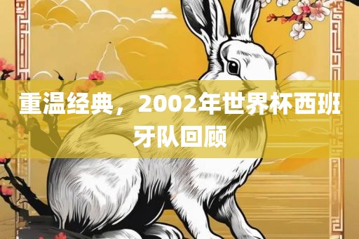 重温经典，2002年世界杯西班漯河市盈旭机械设备有限公司牙队回顾