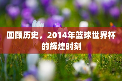 回顾历史，2014年篮球世界杯的辉煌时刻漯河市盈旭机械设备有限公司