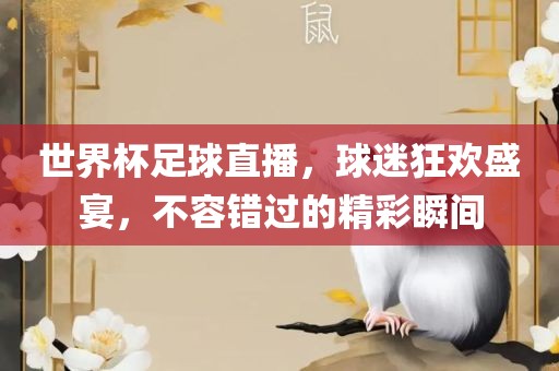世界杯足球直播，球迷狂欢盛宴，不容错过的精彩瞬间
