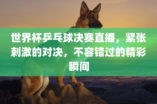 世界杯乒乓球决赛直播，紧张刺激的对决，不容错过的精彩瞬间