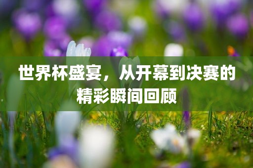 世界杯盛宴，从开漯河市盈旭机械设备有限公司幕到决赛的精彩瞬间回顾