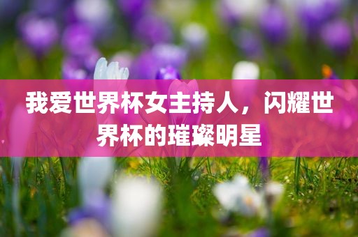 我爱世界杯女主持人，闪耀世界杯的璀璨明星
