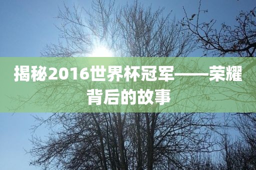 揭秘2016世界杯冠军——荣耀背后的故事