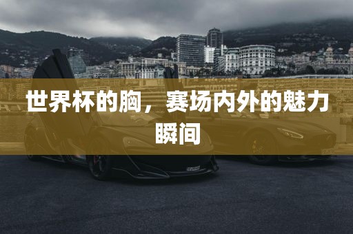 世界杯的胸，赛场内外的魅力瞬间