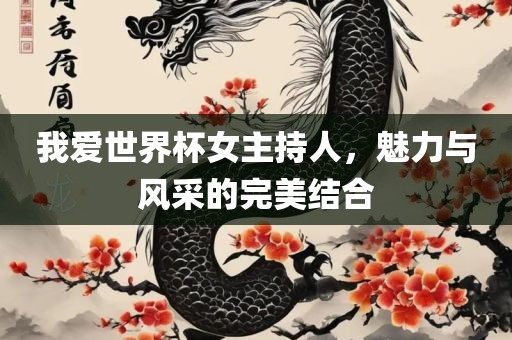 我爱世界杯女主持人，魅力与风采的完美结合