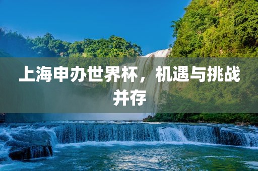 上海申办世界杯，机遇与挑战并存漯河市盈旭机械设备有限公司