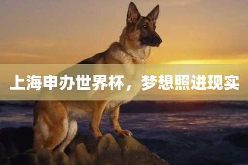 上海申办世界杯，梦想照进现实