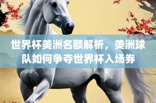 世界杯美洲名额解析，美洲球队如何争夺世界杯入场券