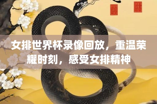 女排世界杯录像回放，重温荣耀时刻，感受女排精神