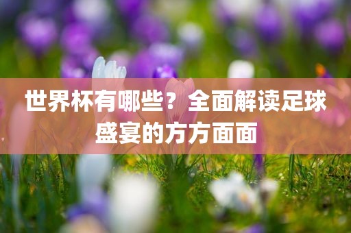世界杯有哪些？全面解读足球盛宴的方方面面