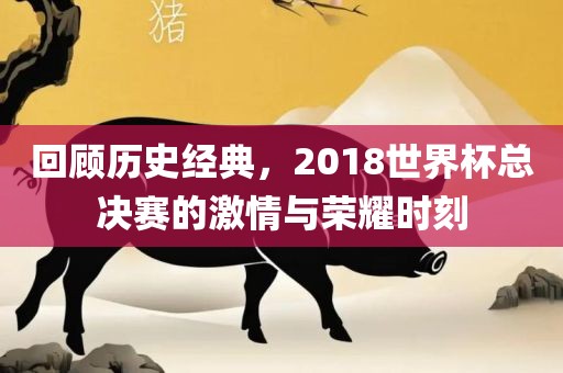 回顾历史经典，2018世界杯总决赛的激情与荣耀时刻漯河市盈旭机械设备有限公司