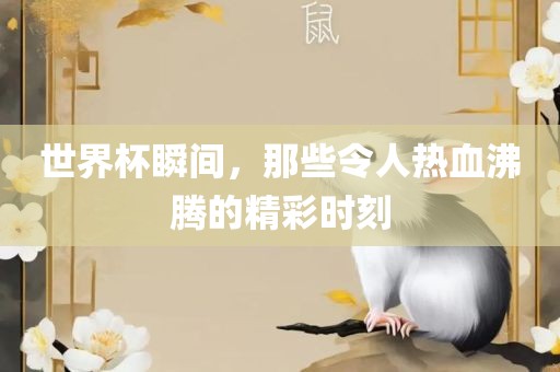 世界杯瞬间，那些令人热血沸腾的精彩时刻漯河市盈旭机械设备有限公司