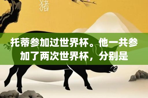 托蒂参加过世界杯。他一共参加了两次世界杯，分别是