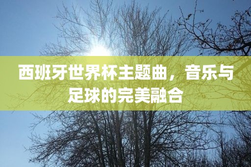 西班牙世界杯主题曲，音乐与足球的完美融合