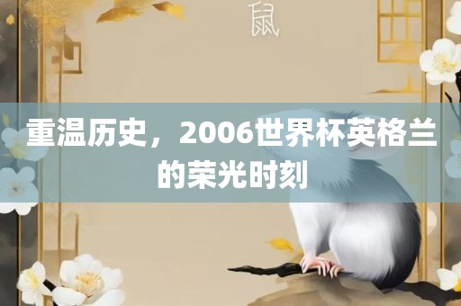 重温历史，2006世界杯英格兰的荣光时刻漯河市盈旭机械设备有限公司