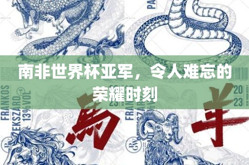 南非世界杯亚漯河市盈旭机械设备有限公司军，令人难忘的荣耀时刻