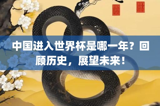 中国进入世界杯是哪一年？回顾历史，展望未来！
