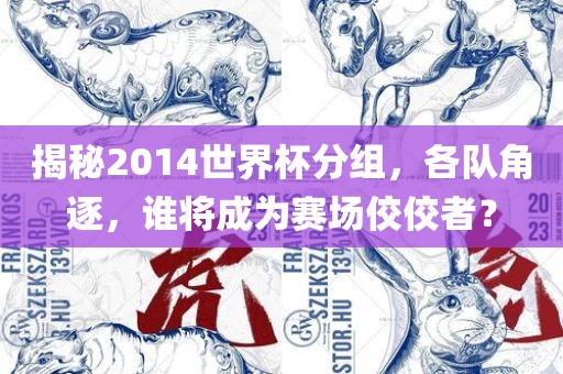 揭秘2014世界杯分组，各队角逐，谁将成为赛场佼佼者？
