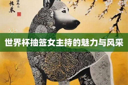 世界杯抽签女主持的魅力与风采漯河市盈旭机械设备有限公司