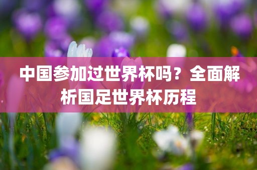 中国参加过世界杯吗？全面解析国足漯河市盈旭机械设备有限公司世界杯历程