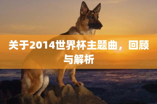 关于2014世界杯主题曲，回顾与解析