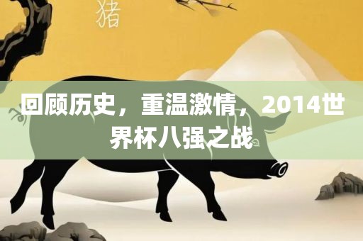 回顾历史，重温激情，2014世界杯八强之战