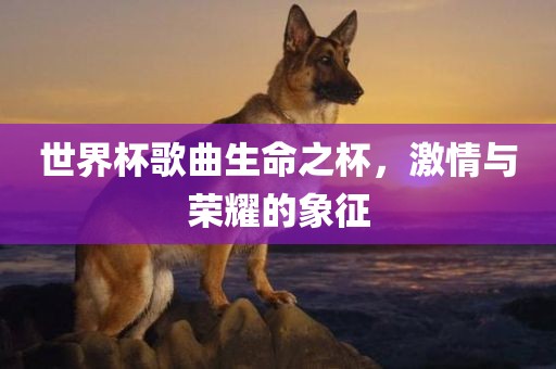 世界杯歌曲生命之杯，激情与荣耀的象征