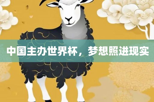 中国主办世界杯，梦想照进现实