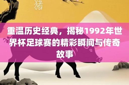 重温历史经典，揭秘1992年世界杯漯河市盈旭机械设备有限公司足球赛的精彩瞬间与传奇故事