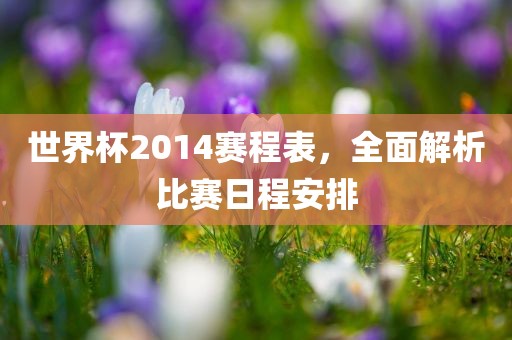 世界杯2014赛程漯河市盈旭机械设备有限公司表，全面解析比赛日程安排