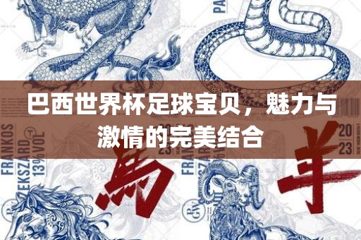 巴西世界杯足球宝贝，魅力与激情的完美结合