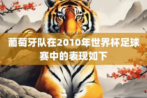葡萄牙队在2010年世界杯足球赛中的表现如下漯河市盈旭机械设备有限公司