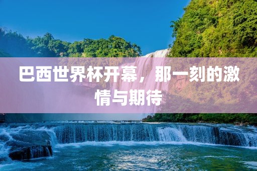 巴西世界杯开幕，那一刻的激情与期待漯河市盈旭机械设备有限公司