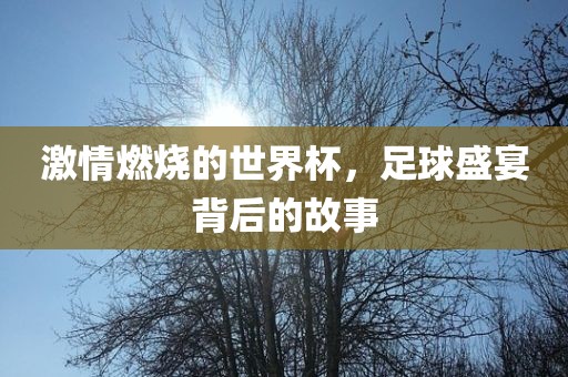 yangxinhong 第8页