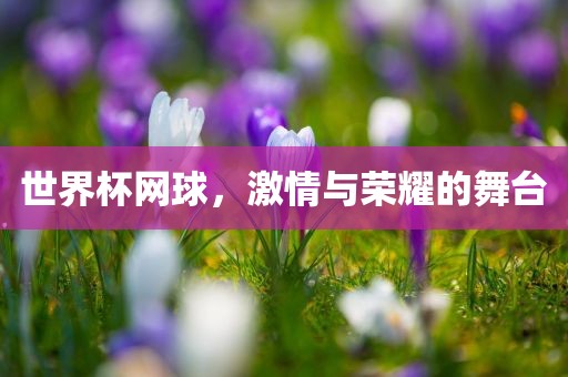 世界杯网球，激情与荣耀的舞台漯河市盈旭机械设备有限公司