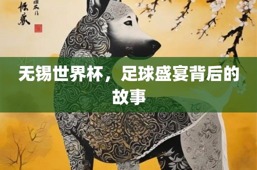 无锡世界杯，足球盛宴背后的故事