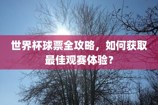 世界杯球票全攻略，如何获取最佳观赛体验？