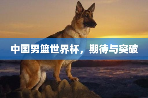 中国男篮世界杯，期待与突破