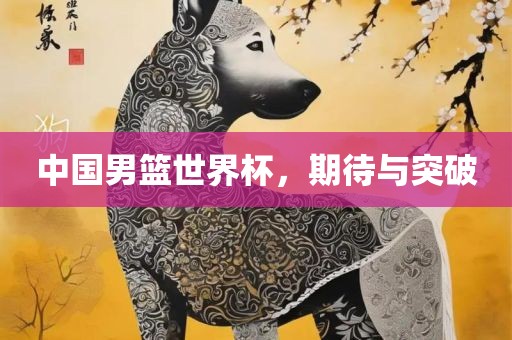 中国男篮世界杯，期待与突破