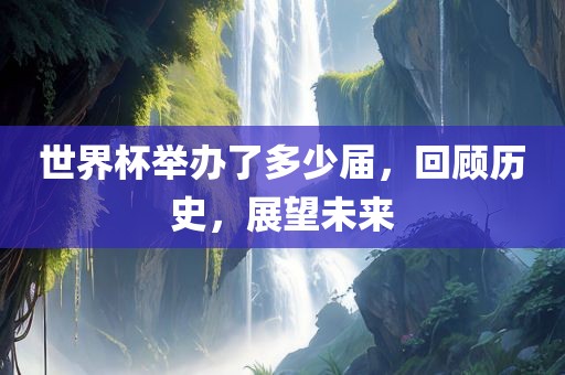 世界杯举办了多少届，回顾历史，展望未来漯河市盈旭机械设备有限公司