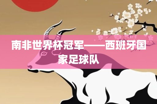南非世界杯冠军——西班牙国家足球队