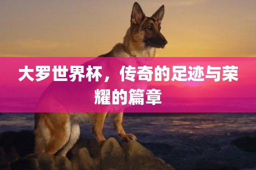 大罗世界杯，传奇的足迹与荣耀的篇章