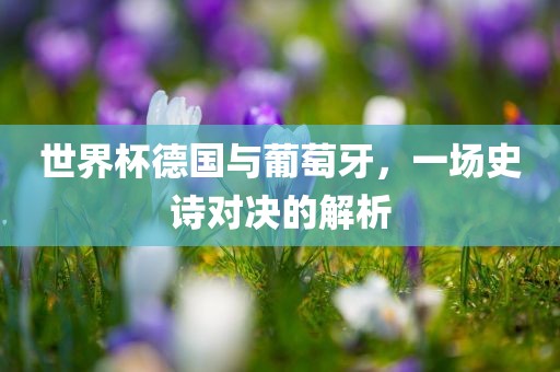 世界杯德国与葡萄牙，一场史诗对决的解析