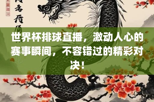 世界杯排球直播，激动人心的赛事瞬间，不容错过的精彩对决！