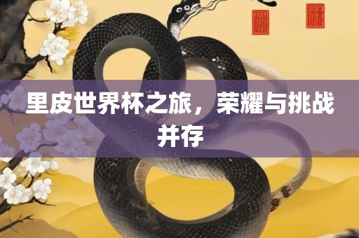 里皮世界杯之旅，荣耀与挑战并存