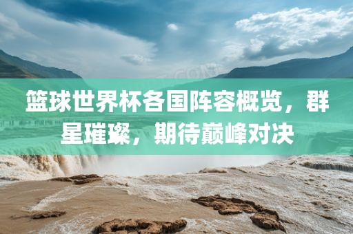 篮球世界杯各国阵容概览漯河市盈旭机械设备有限公司，群星璀璨，期待巅峰对决