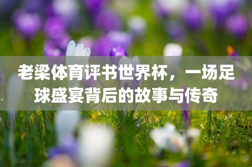 老梁体育评书世界杯，一场足球盛宴背后的故事与传奇