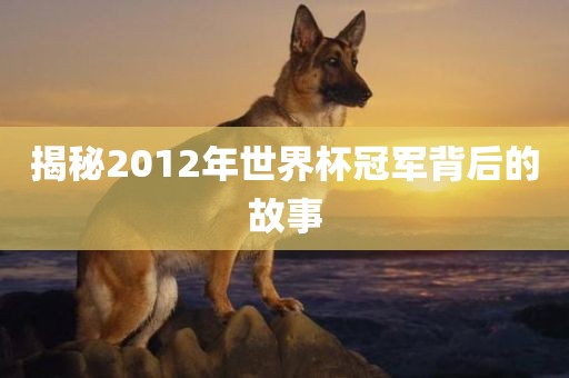 揭秘2012年世界杯冠军背后的故事