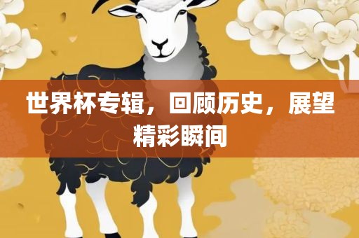 世界杯专辑，回顾历史，展望精彩瞬间漯河市盈旭机械设备有限公司